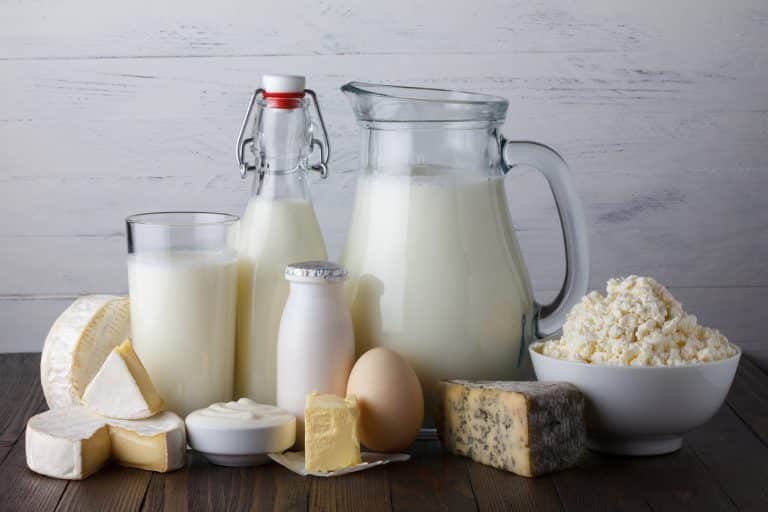 lait-de-brebis-sous-pleins-de-forme-pour-le-consommer.