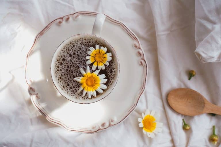 Tasse d'infusion de camomille fumante avec fleurs séchées