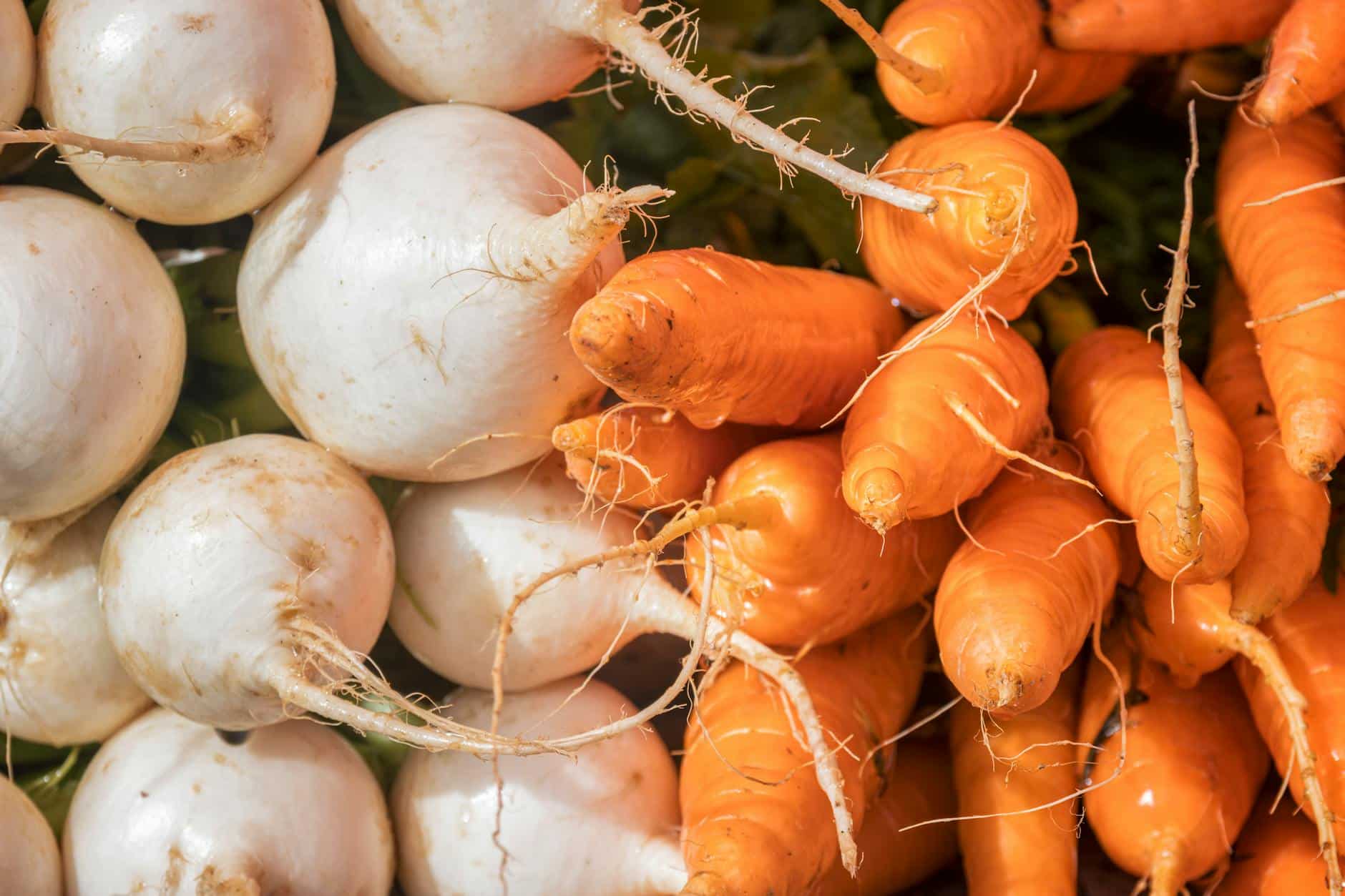 Salade de navet cru râpé vitamine C citron