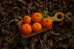 Aliments riches en vitamine B6 sur table en bois