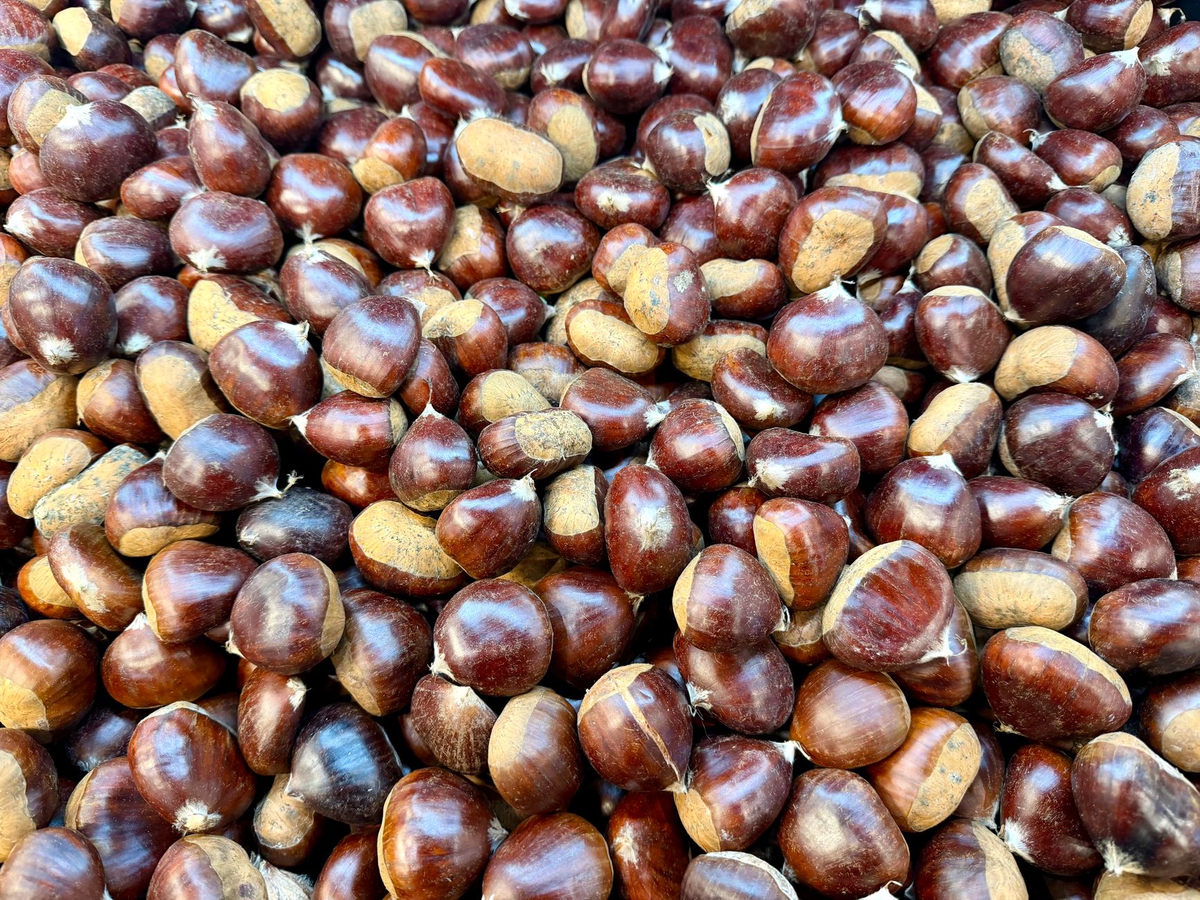 Châtaignes fraîches dans un panier en bois pour bienfaits nutrition