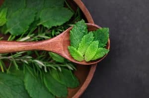 Feuilles de menthe fraîche bienfaits santé digestion tisane