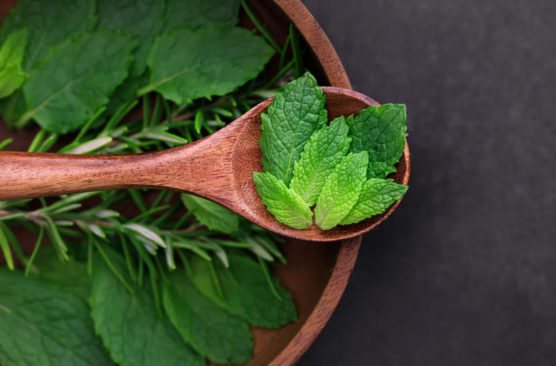 Feuilles de menthe fraîche bienfaits santé digestion tisane