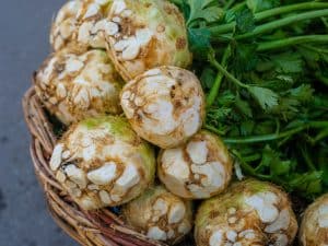 Céleri branche et céleri rave frais bienfaits nutritionnels