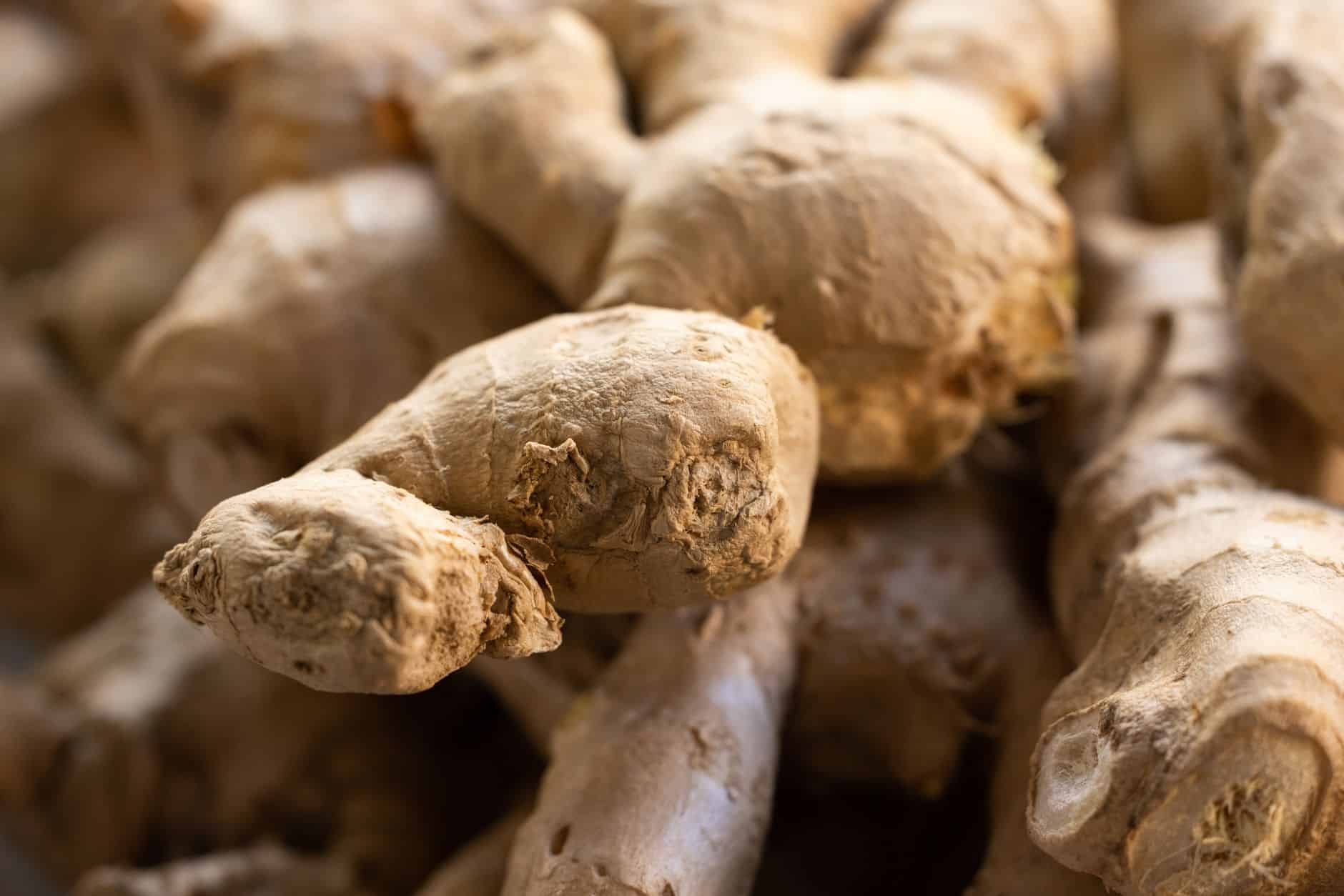 Racines de gingembre curcuma et cardamome pour infusion ayurvédique