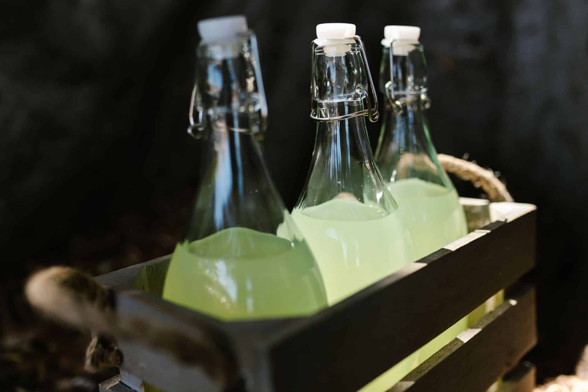 Bouteilles de jus d'abricot maison prêtes pour conservation au frais