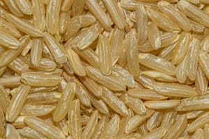 Scoby kombucha flottant surface thé fermenté bocal verre