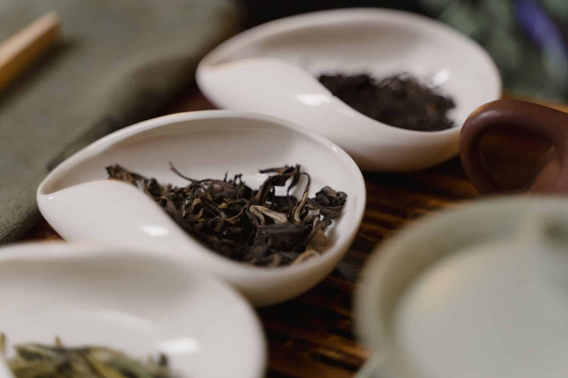 Comparaison thé tuocha sheng vert et shu noir en bols