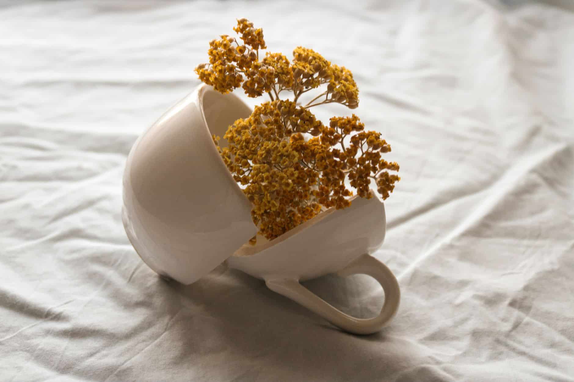 Tasse de thé vert Gunpowder infusé couleur jaune doré