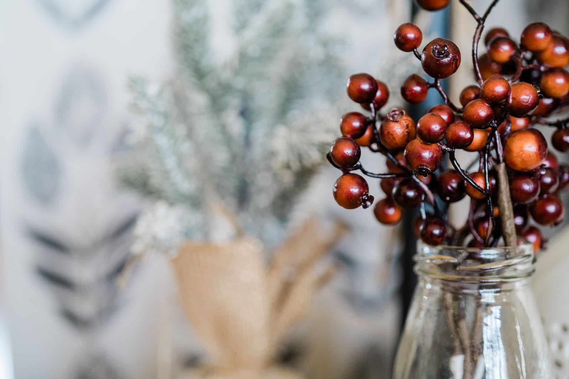 Tisane de queue de cerise en préparation dans une tasse blanche