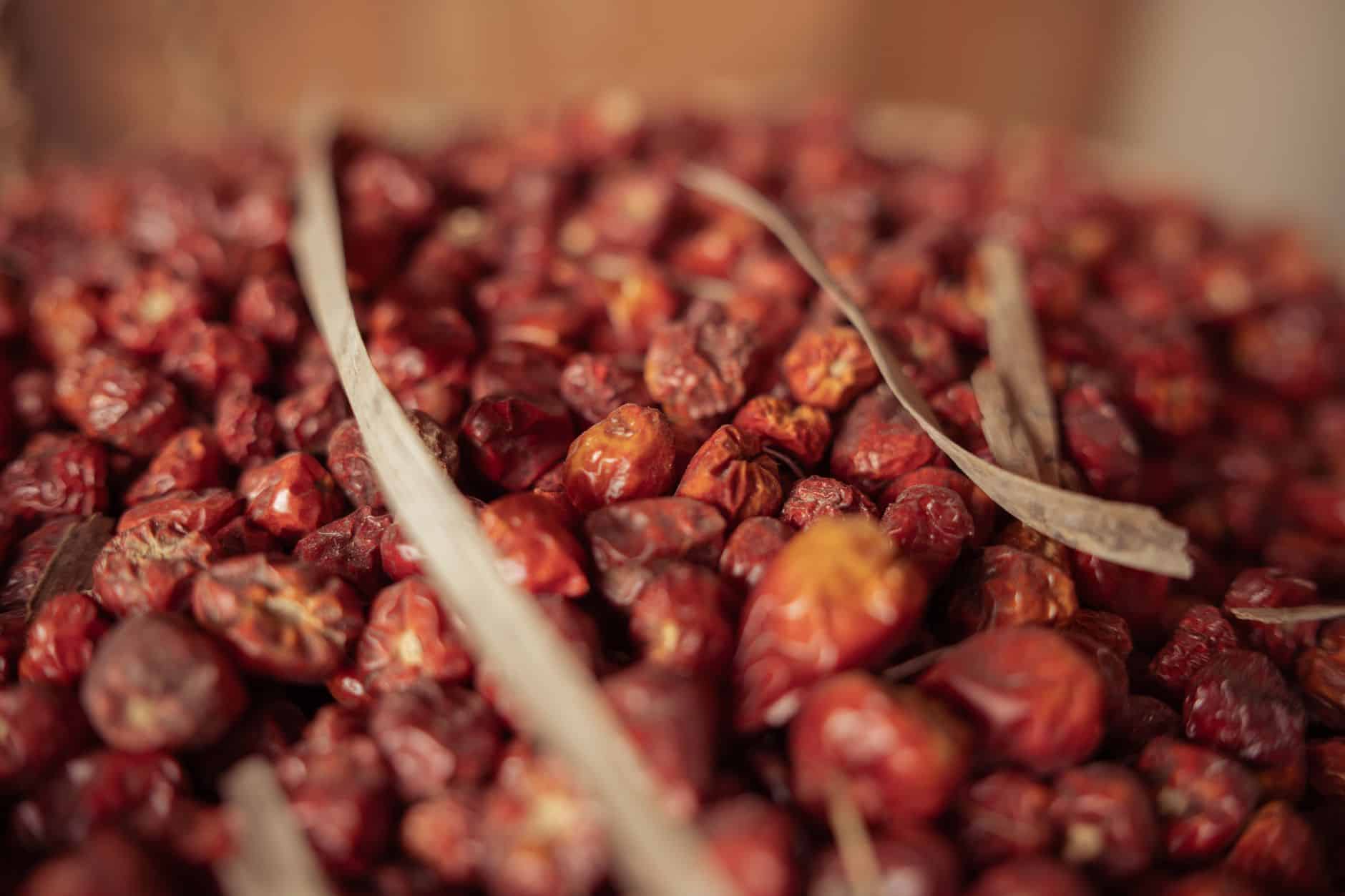 Queues de cerise séchées bio en gros plan pour tisane