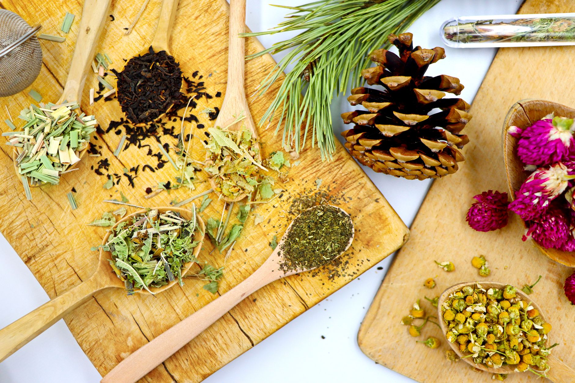 Plantes séchées valériane camomille mélisse pour tisane sommeil