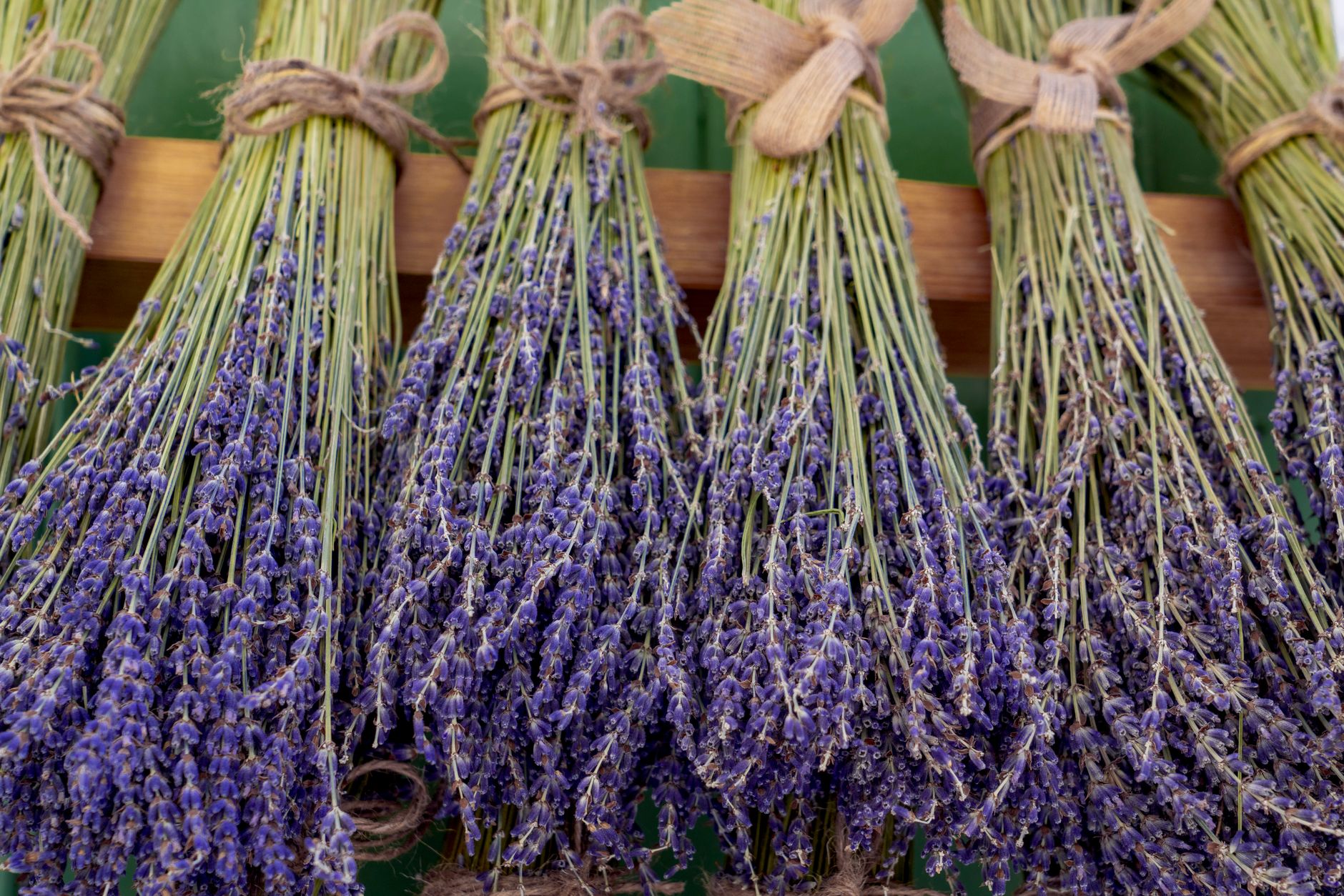 Plantes médicinales pour infusion sommeil naturel lavande passiflore