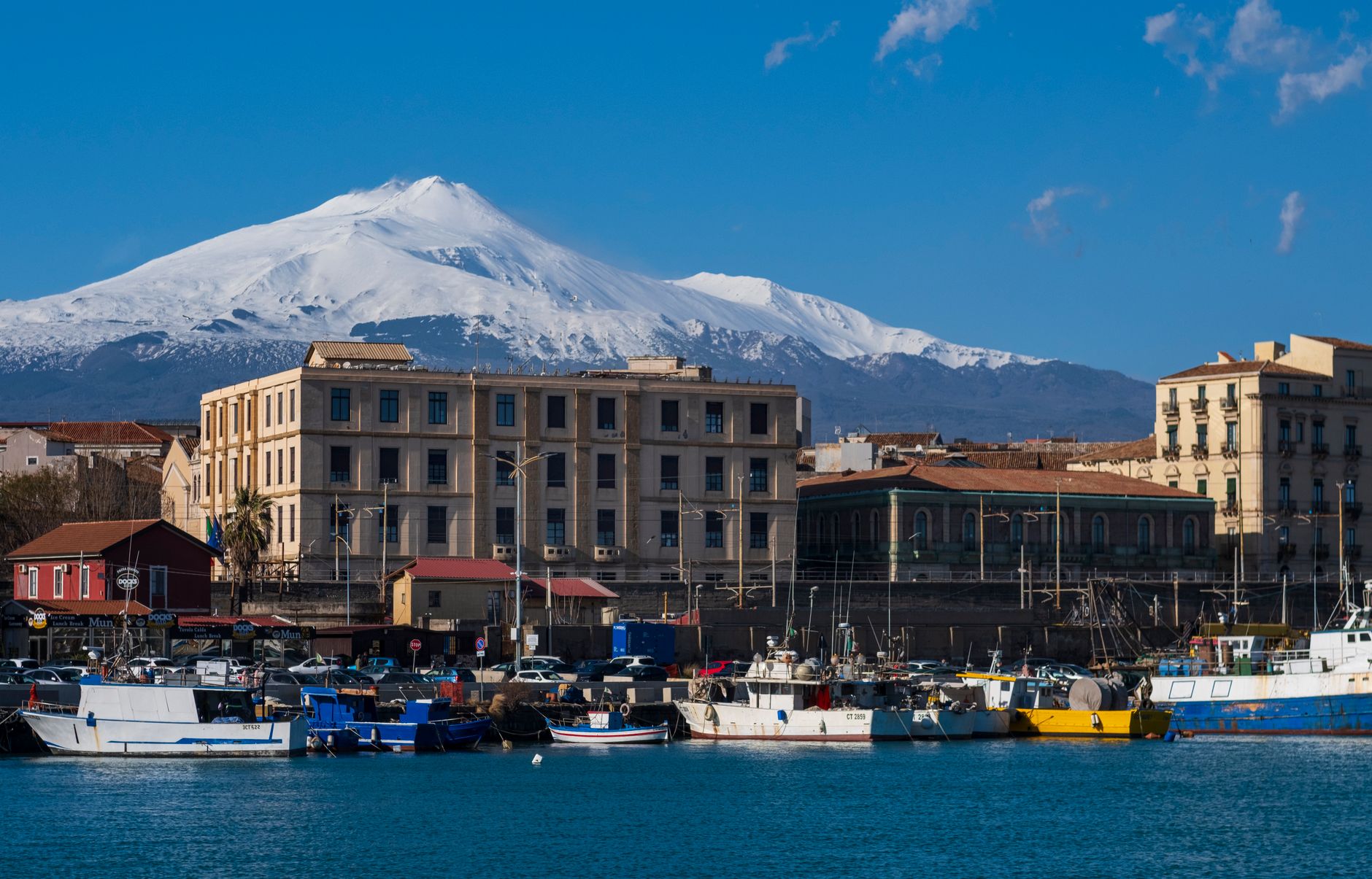 Verger d'orangers Navelina en Sicile près de l'Etna