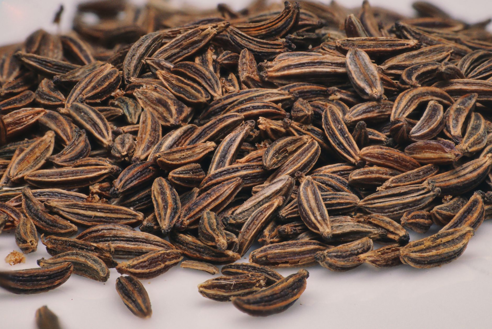 Graines de fenouil et carvi pour tisane digestive