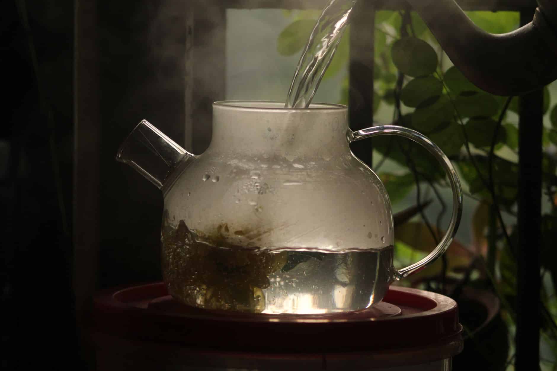 Trois recettes de tisanes anti-ballonnements en infusion